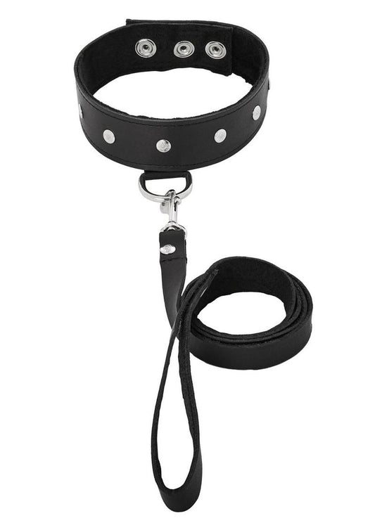 Leather Leash & Collar