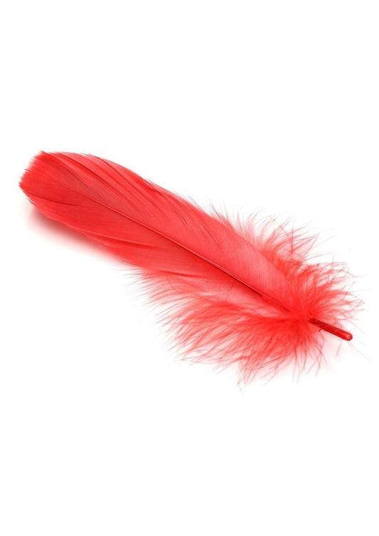 Frisky Anal Itch Relief Inc