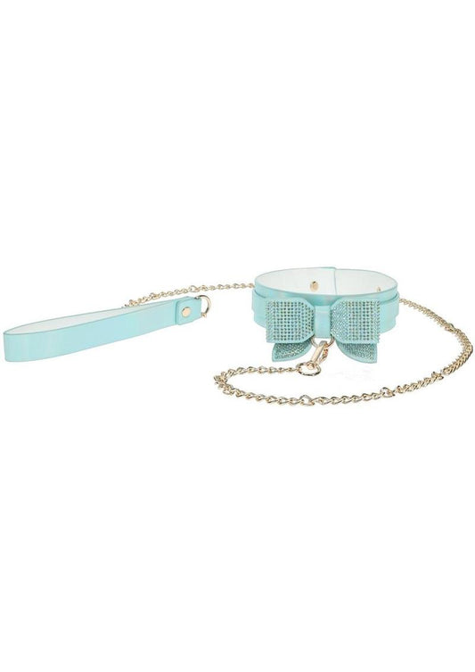 Paris blue collar and leash