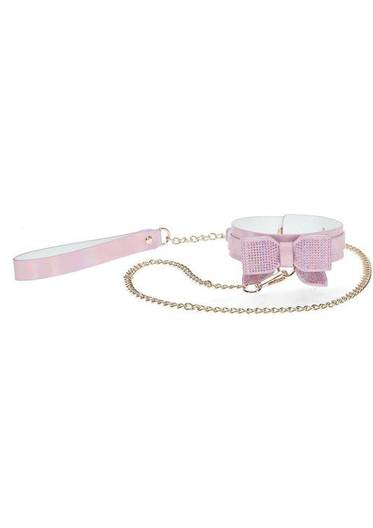 Paris pink collar and leash