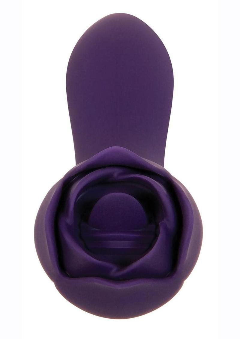 Thorny Rose Purple