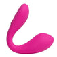 Lovense Dolce