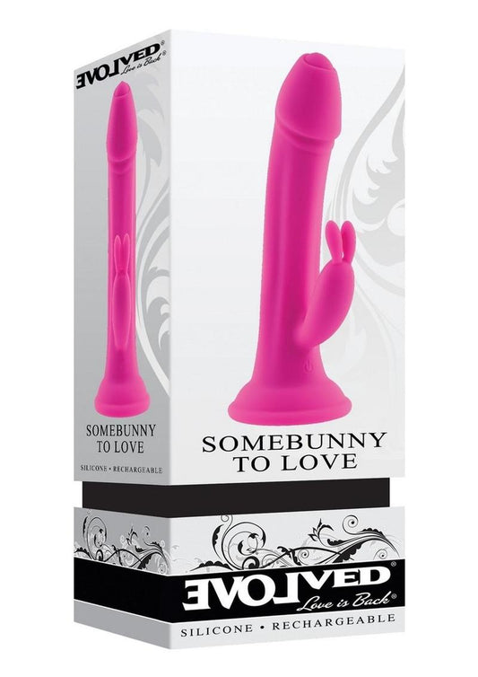 Somebunny to Love