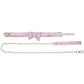 Paris pink collar and leash